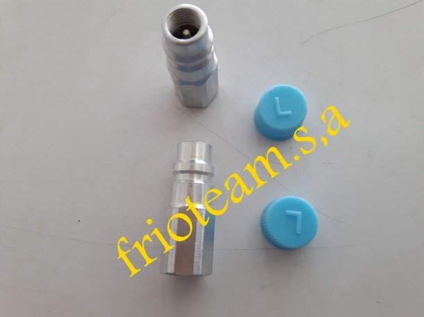 Valvula de SERVICIO BAJA R134 FORD