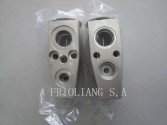 Valvula Expansion FORD ESCAPE 2008-2009