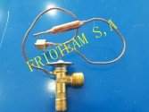Valvula Expansion Nissan 16MMx20MM
