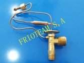Valvula Expa Honda OR 16x22mm culizador