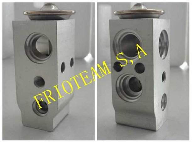 Valvula EXP. HYUNDAI ELANTRA 2007-2009