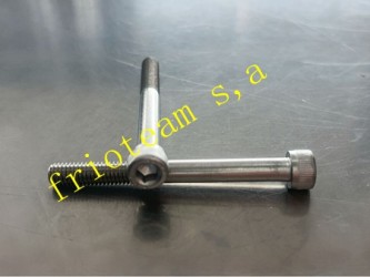 Tornillo L P/ Valvula Expa Toyota Corolla (61MM)