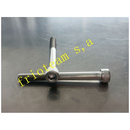 Tornillo L P/ Valvula Expa Toyota Corolla (61MM)