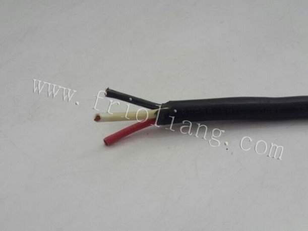 ALAMBRE (CABLE) CAUCHO 3X12 por pie